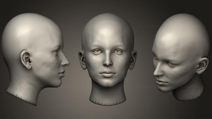 Анатомия скелеты и черепа (Голова и череп, ANTM_0629) 3D модель для ЧПУ станка